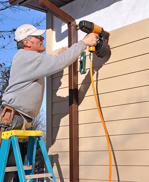 Best Siding Maintenance  in Leslie, MI